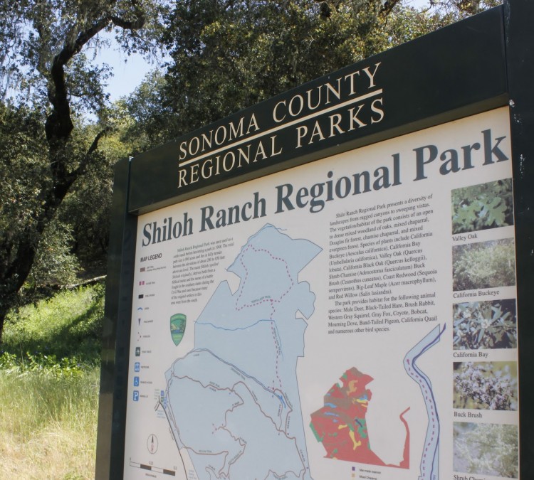 shiloh-ranch-regional-park-photo